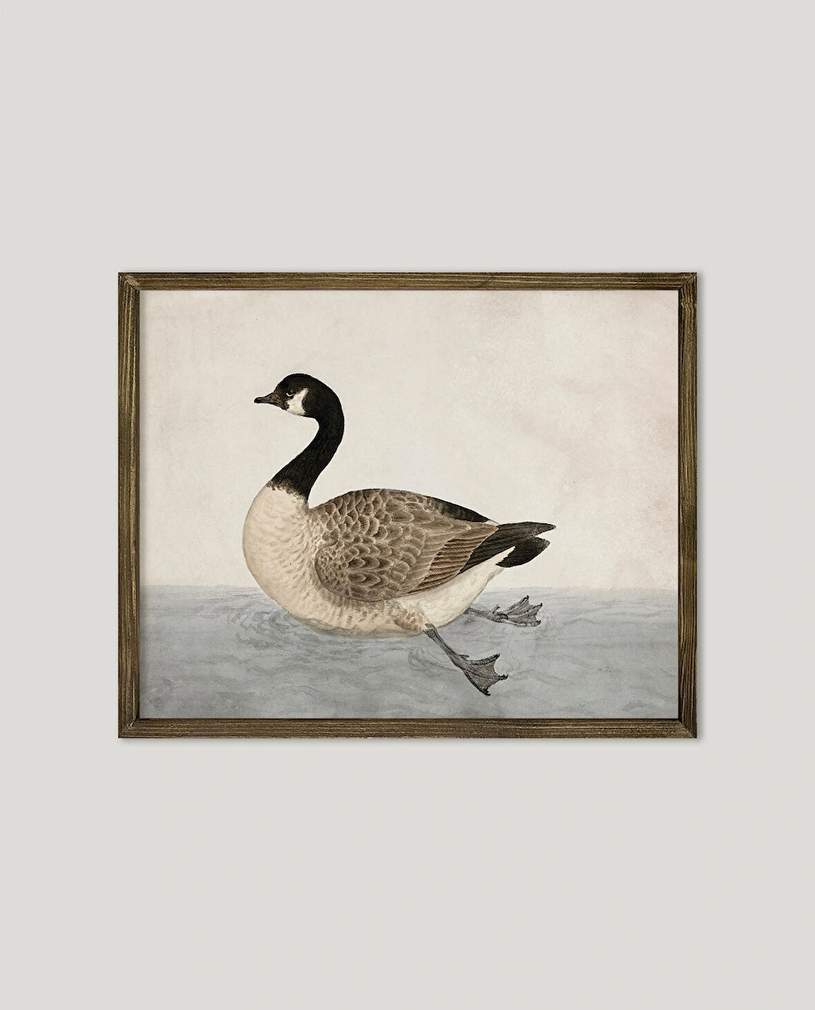 Yüzen Ördek Çerçeveli Poster