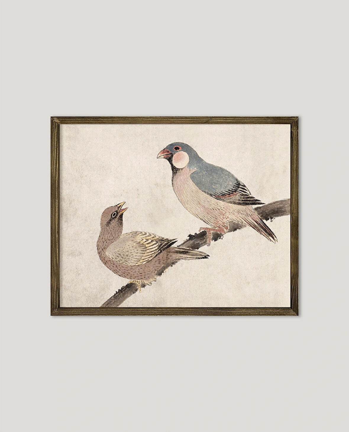 Daldaki Kuşlar Çerçeveli Poster