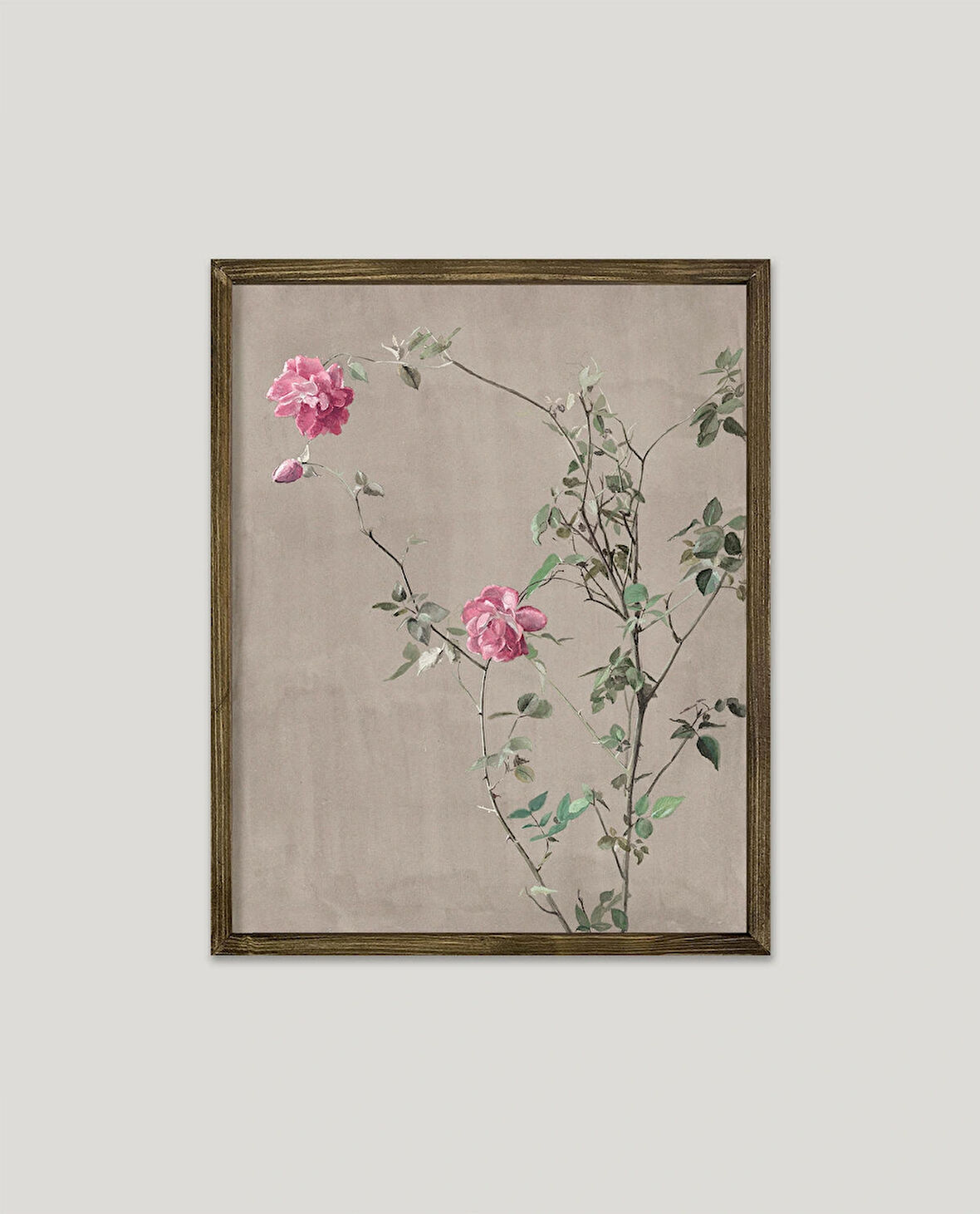 Pembe Güller Çerçeveli Poster