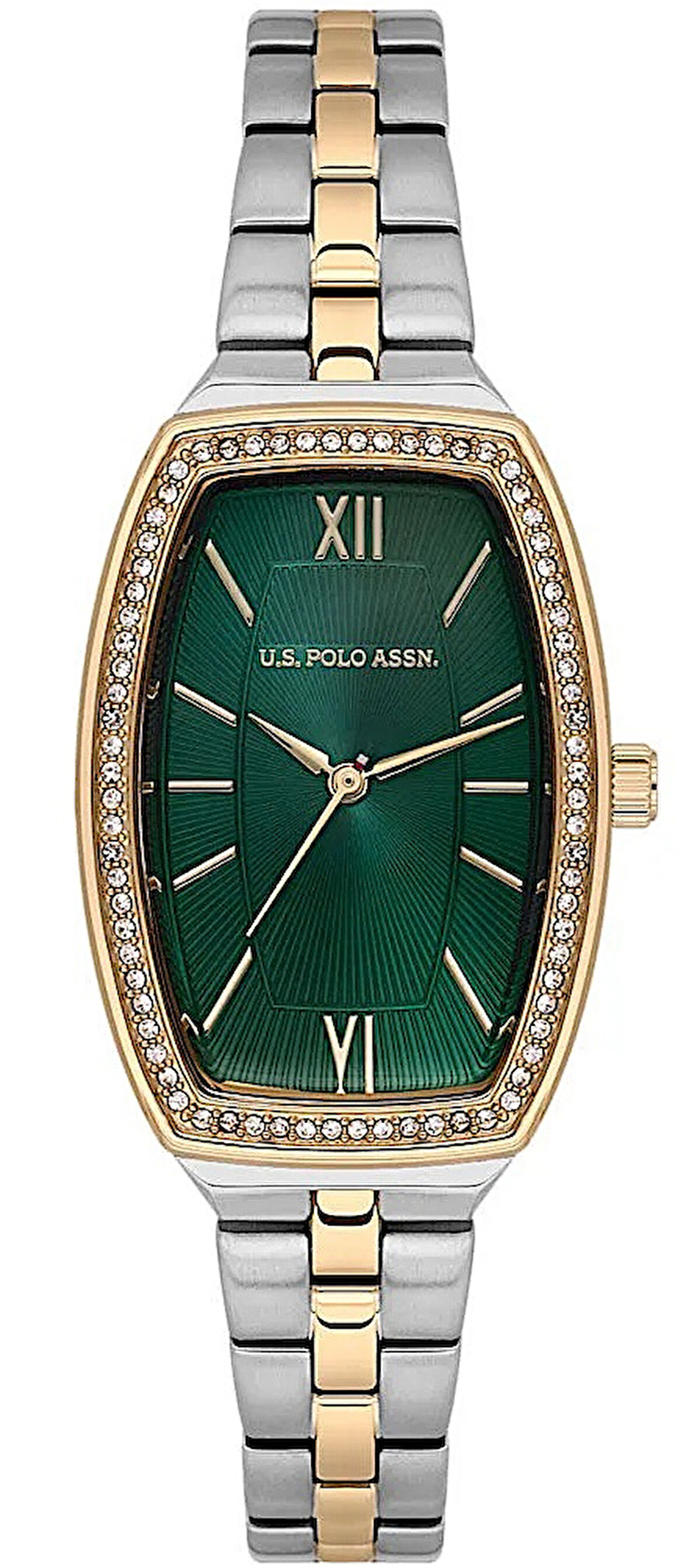 U.S. Polo Assn. Uspa2110-04 Kadın Kol Saati