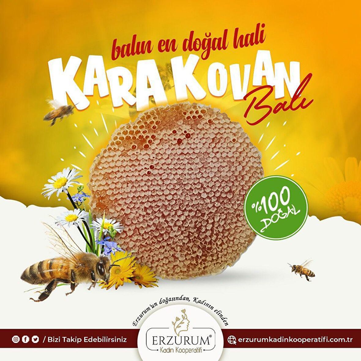 ERZURUM KADIN KOOPERATİFİ KARAKOVAN PETEK BAL 1KG