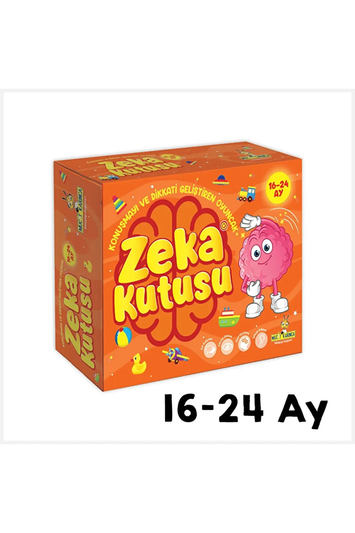 Zeka Kutusu / Konuşmayı Geliştiren Oyun (16-24 Ay)