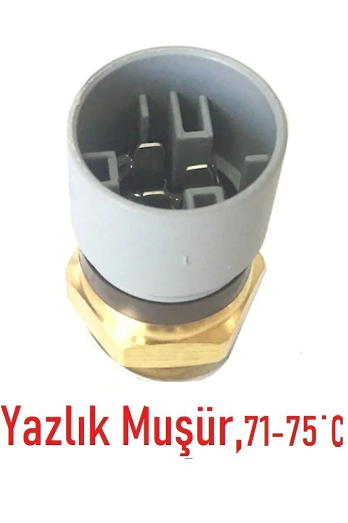 Opel Vectra B Yazlık Radyatör Fan Müşürü,1341042