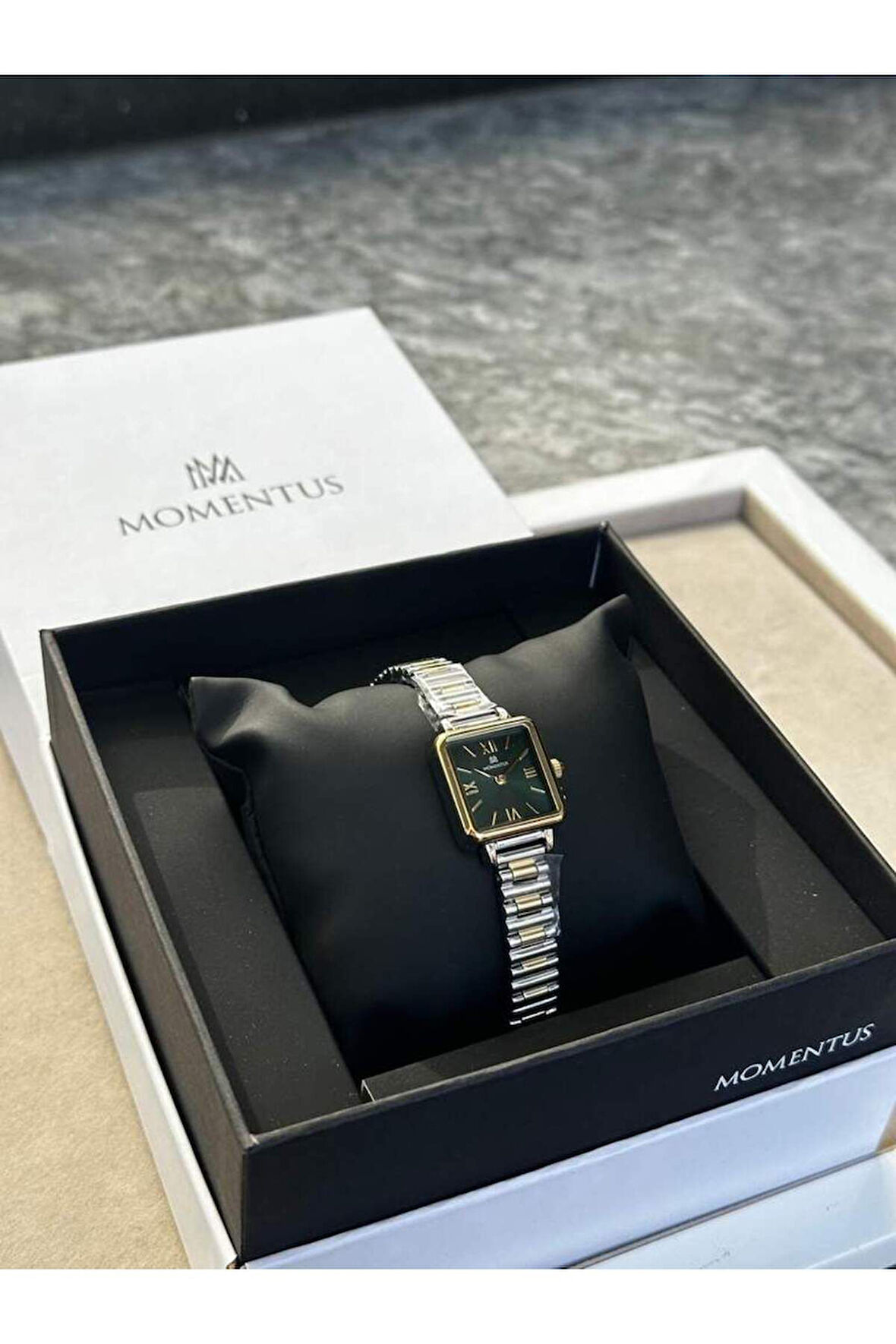 MOMENTUS Cw312t-15sg Kadın Kol Saati