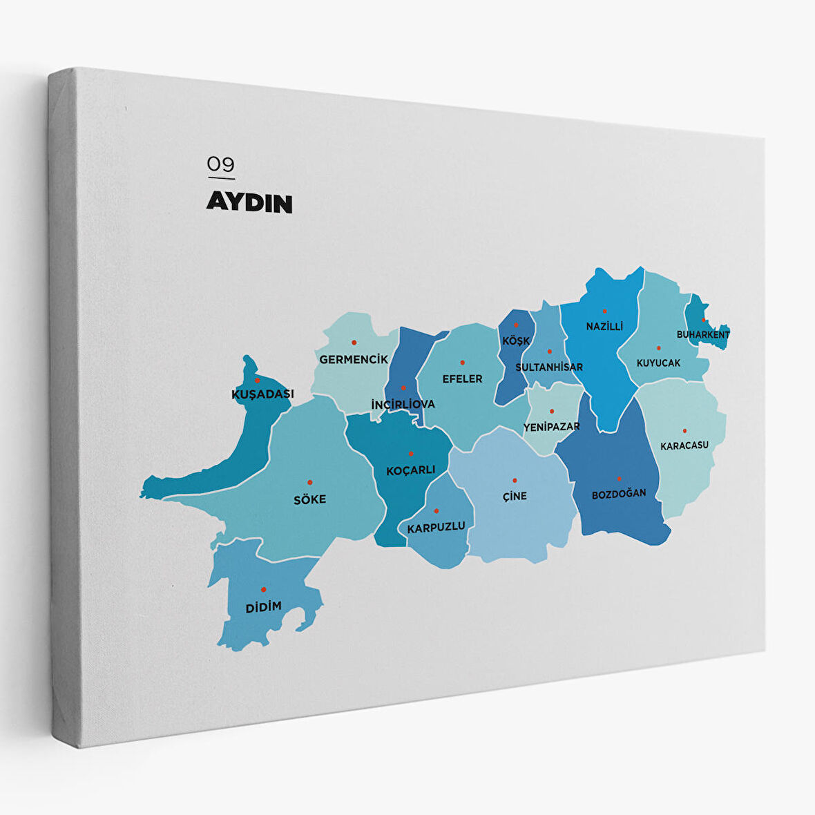 Harita Sepeti Aydın İli ve İlçeler Haritası Dekoratif Kanvas Tablo 1278