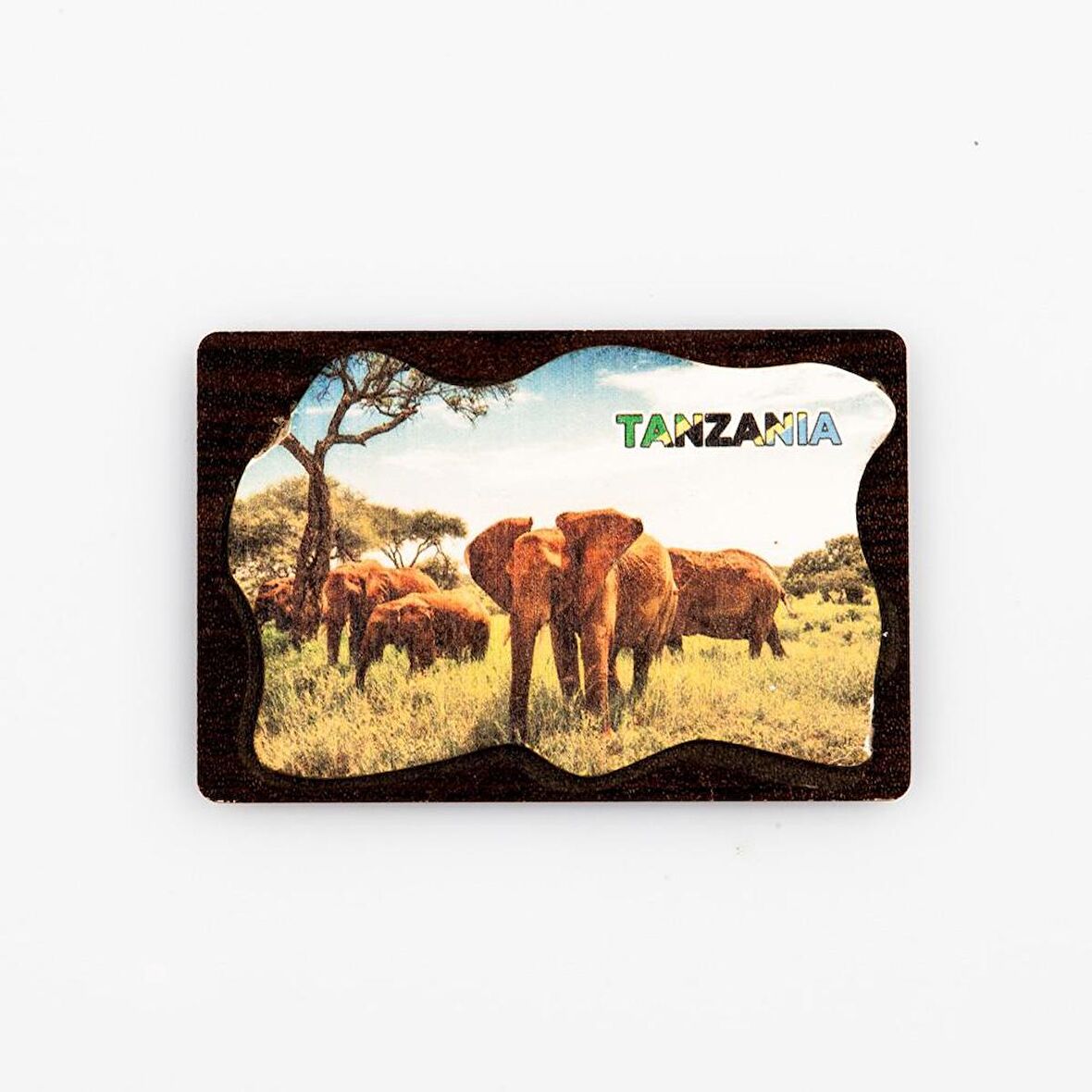 Tanzanya Temalı Deri Magnet Ahşap Tabaka
