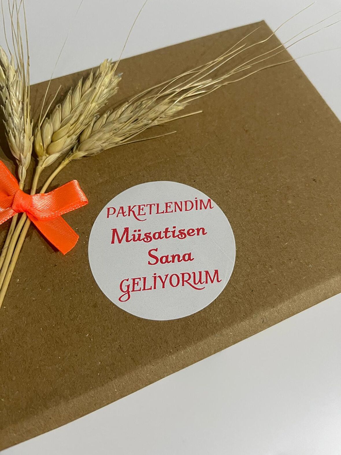 Paketlendim Müsaitsen Sana Geliyorum Yuvarlak Yapışkanlı Etiket 4x4 cm 120 adet