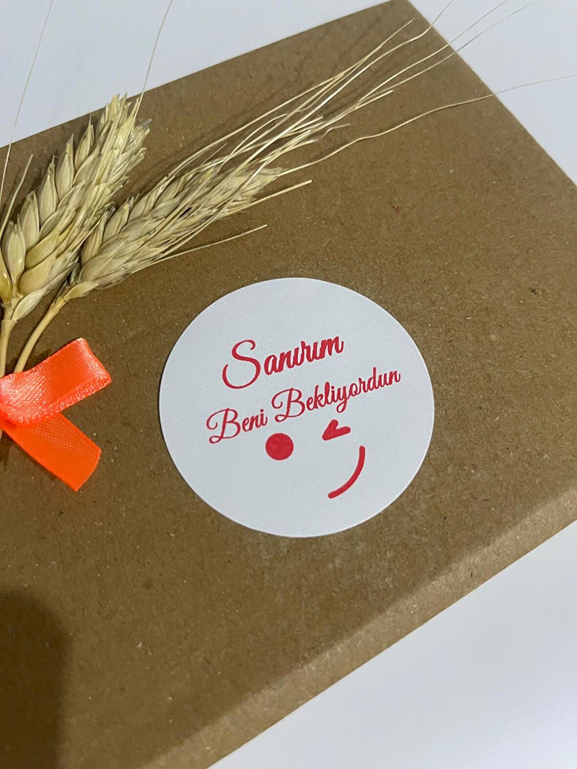 Sanırım Beni Bekliyordun Yuvarlak Yapışkanlı Etiket 5x5 cm 100 adet