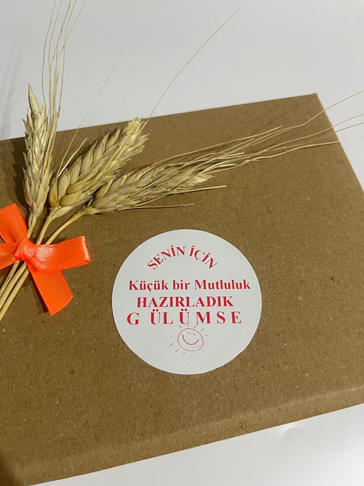 Gülümse Yuvarlak Yapışkanlı Etiket 4x4 cm 120 adet