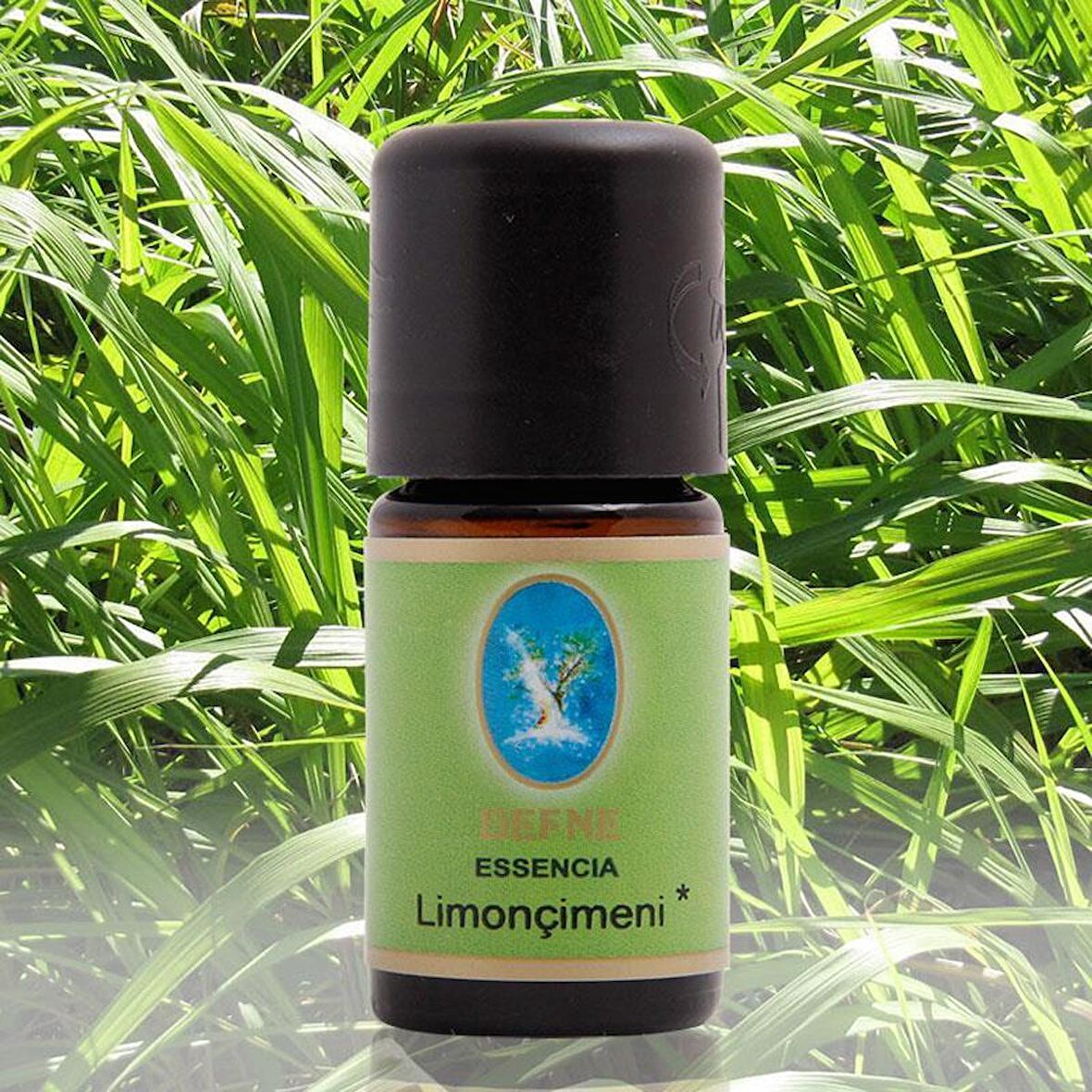 Nuka Limonçimeni Yağı - 10 ml. (Organik - Damıtma)