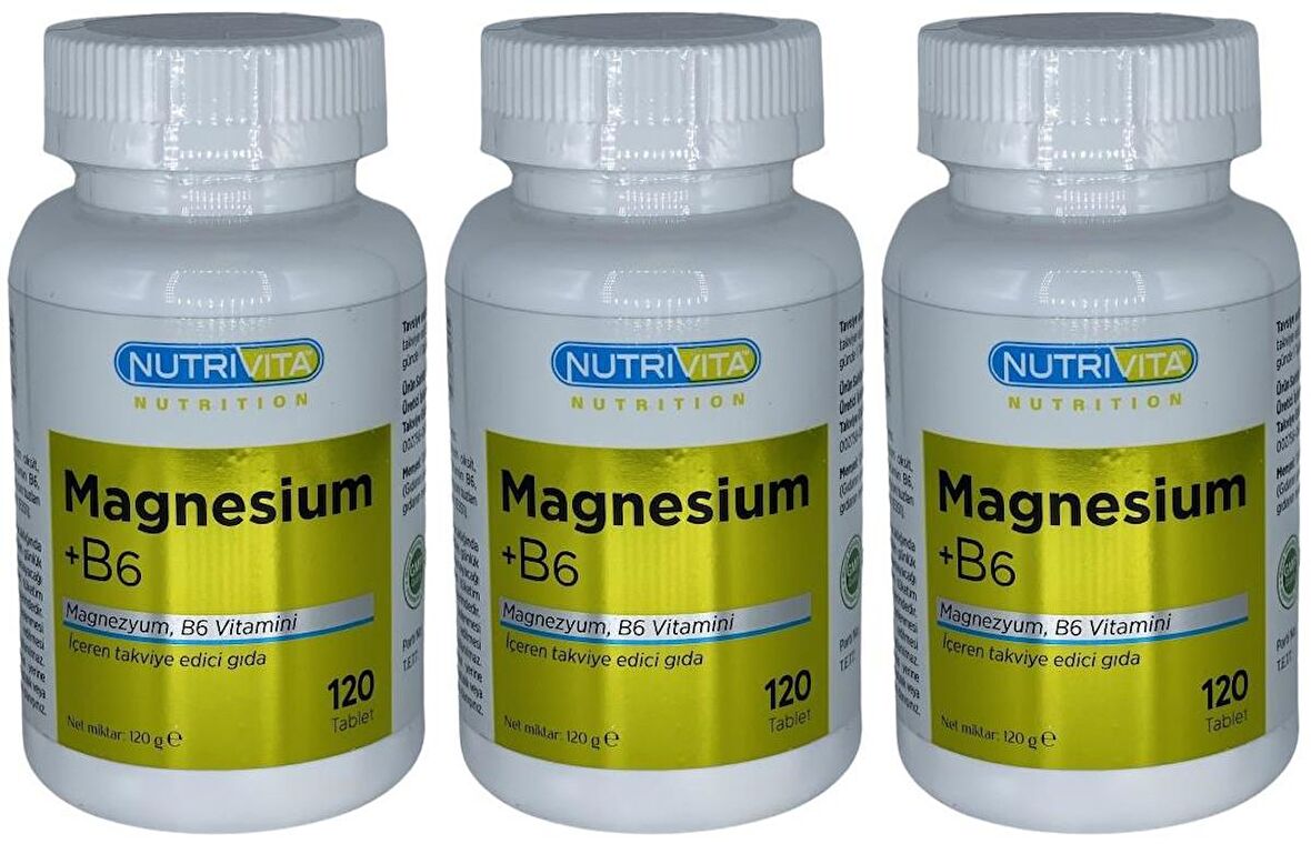 Magnesium Vitamin B6 Vitamini 3x120 Tablet Magnezyum