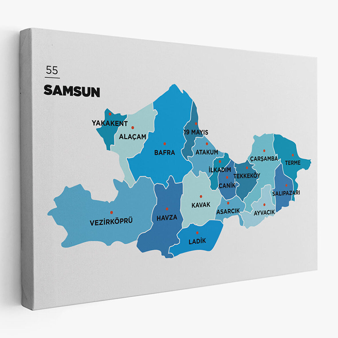 Harita Sepeti Samsun İli ve İlçeler Haritası Dekoratif Kanvas Tablo 1447