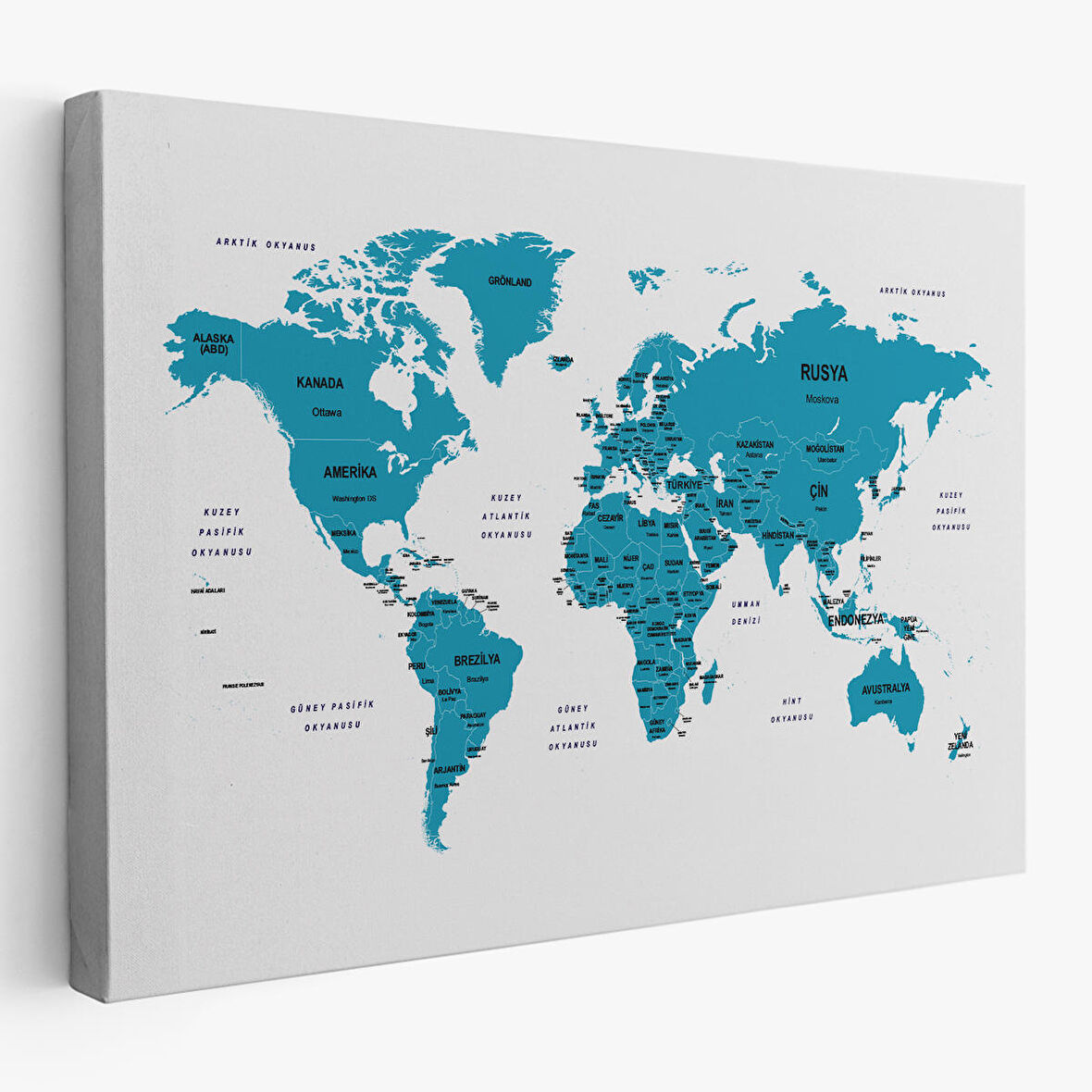 Harita Sepeti Türkçe Dünya Haritası Dekoratif Kanvas Tablo Ülke ve Başkentli 1502