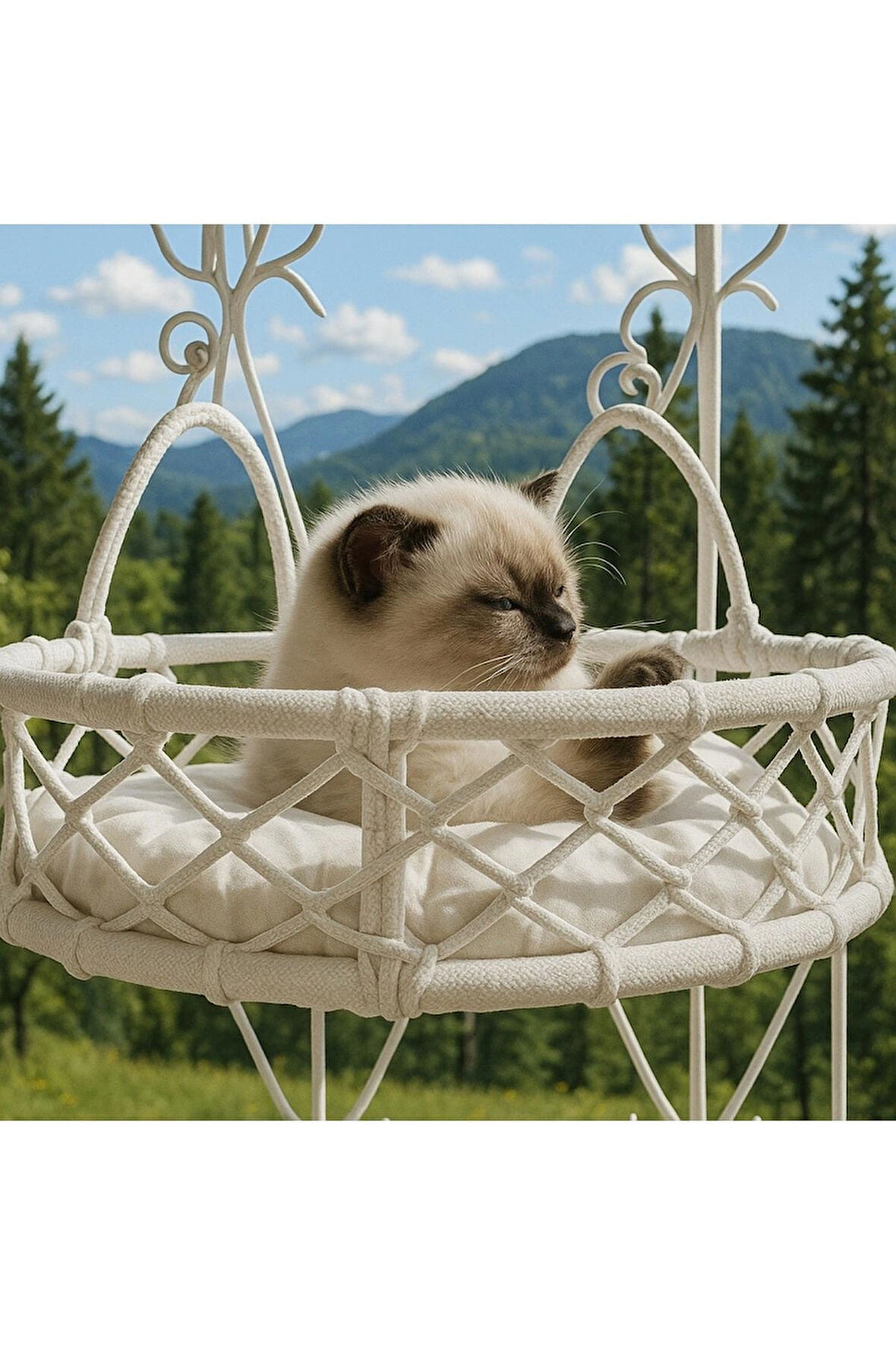 Cam Güzeli Kedi Köpek Yatağı