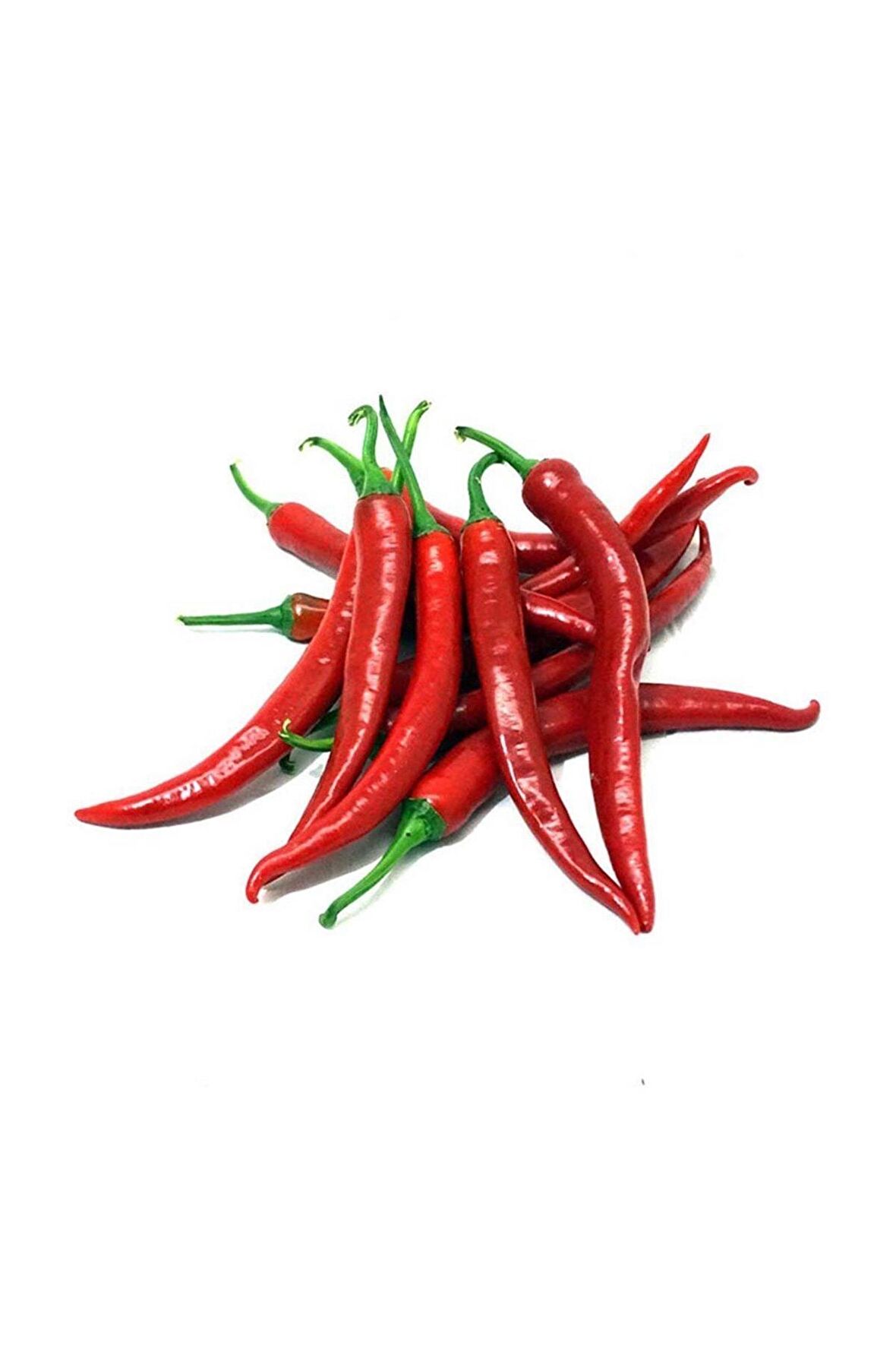 Ithal Doğal Acı Şili Biberi Acı Biber Hot Chılean Pepper 100 Ad Tohum