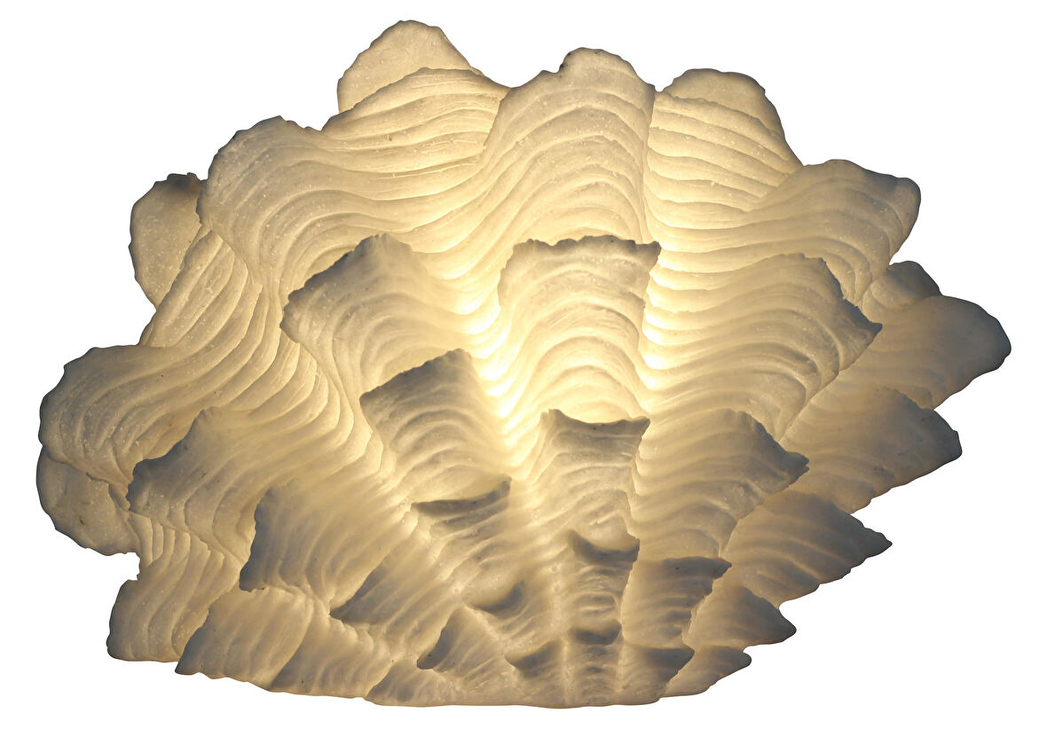 Luımienza İstiridye Masa Lambası GLR-22S0066LW