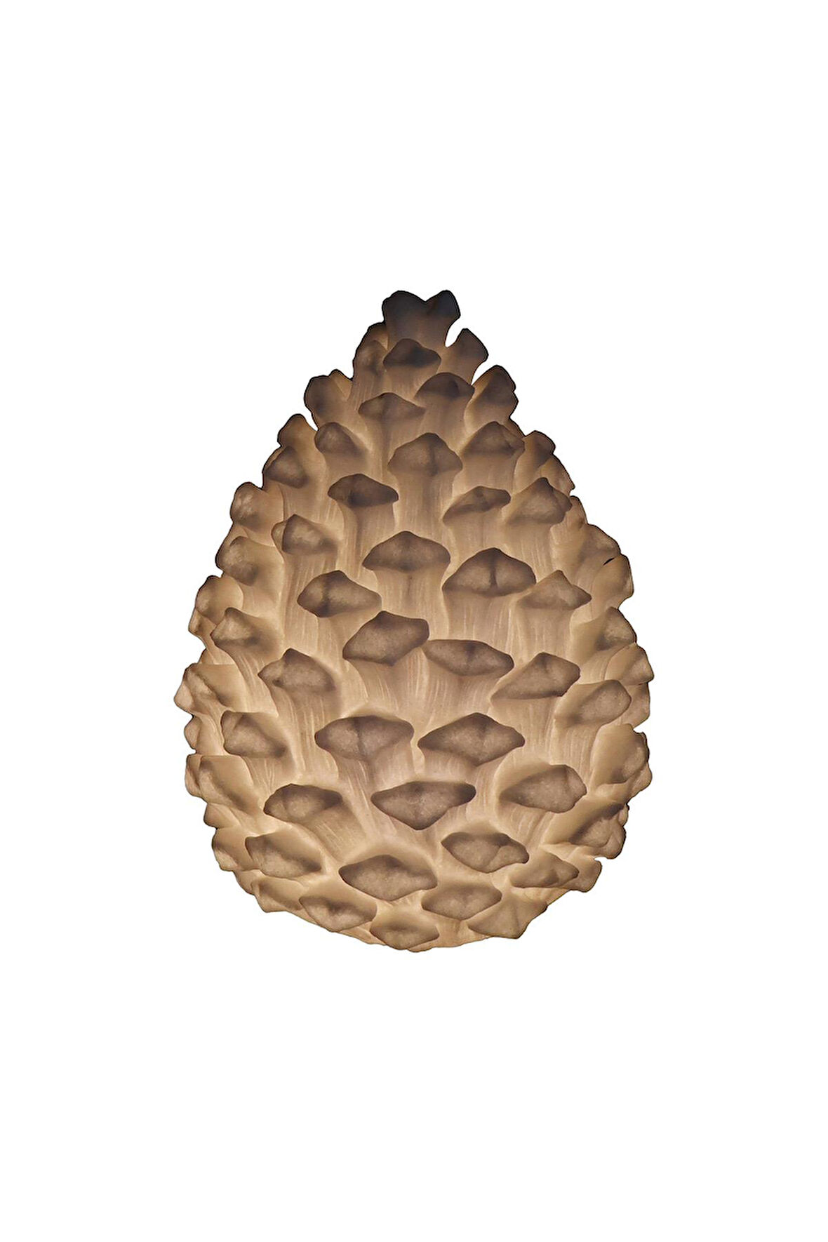 Lumienza Polyester Kozalak mbası GLR-24S6069LW