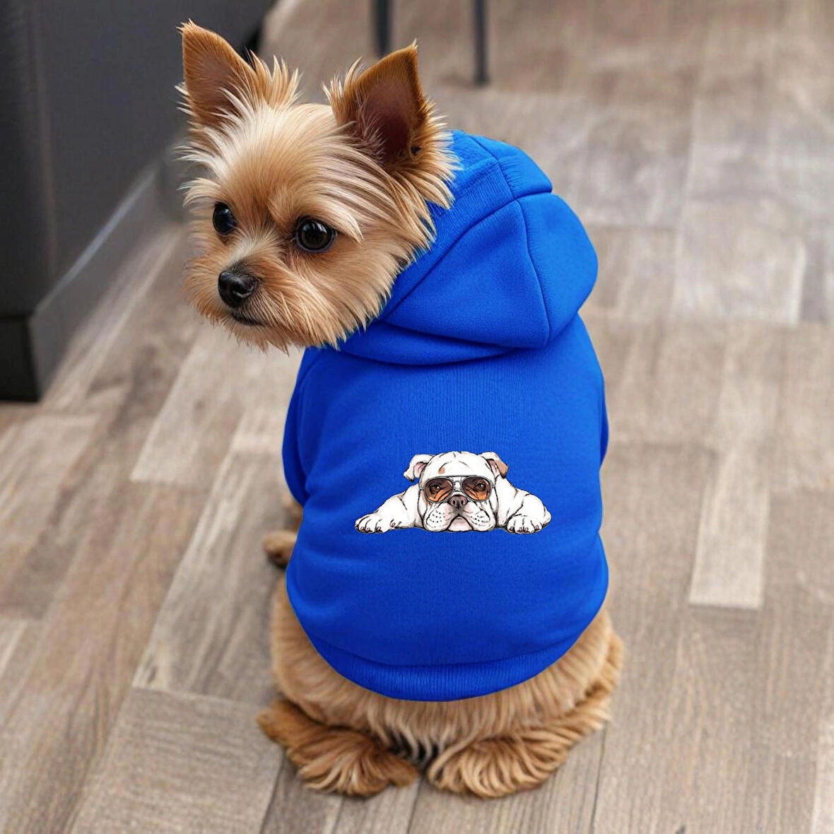 Mavi Cool Boy Baskili ici polarli Köpek Kıyafeti Sweatshirt