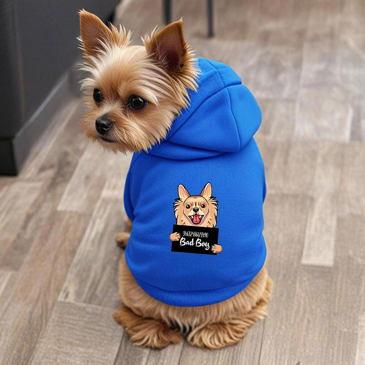 Mavi Wanted chihuahua ici polarli Köpek Kıyafeti Sweatshirt