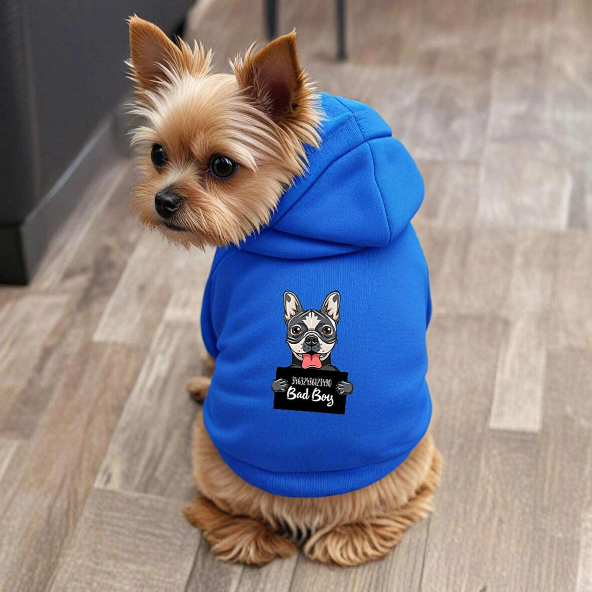 Mavi Wanted Gri ici polarli Köpek Kıyafeti Sweatshirt