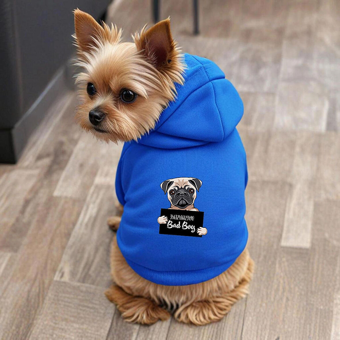 Mavi Wanted Pug ici polarli Köpek Kıyafeti Sweatshirt