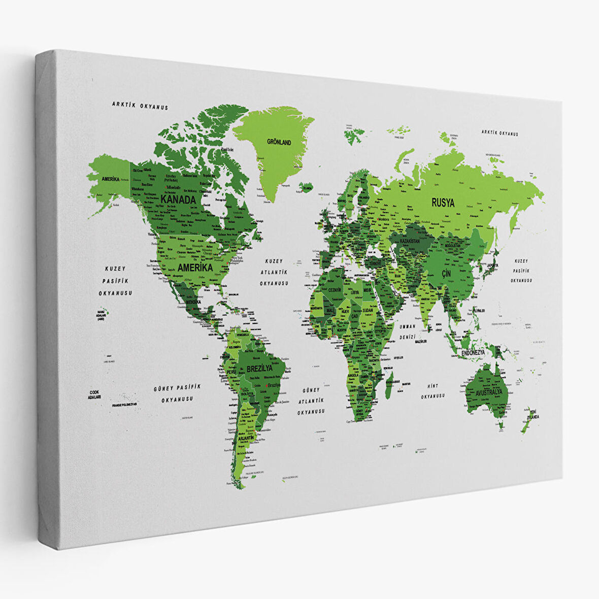 Harita Sepeti Türkçe Dünya Haritası Dekoratif Kanvas Tablo Son Derece Detaylı 1613