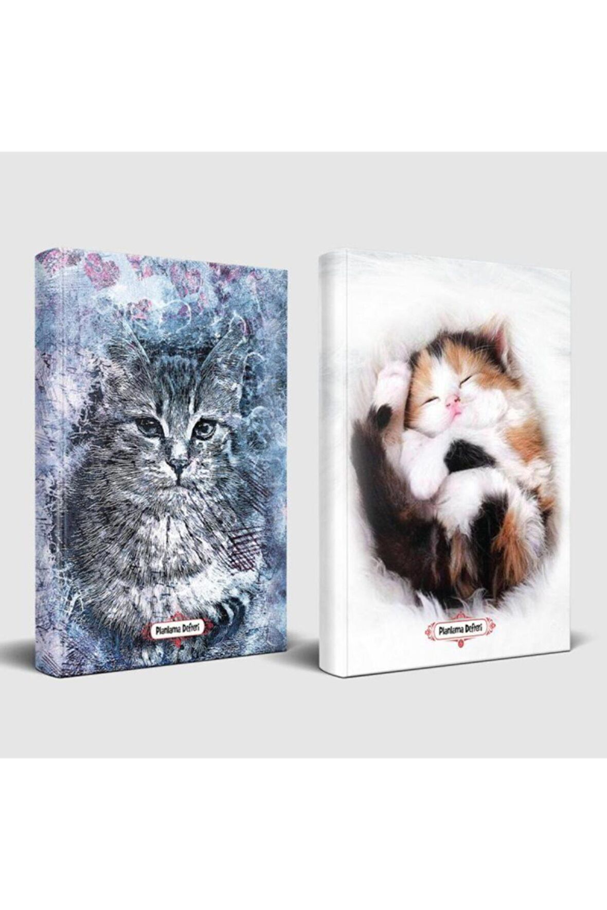 Asil Kedi Ve Uykucu Kedi Planlama Defteri