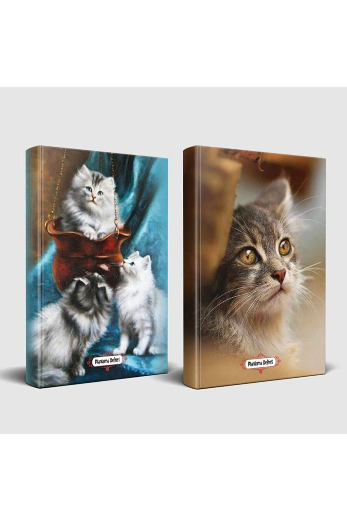 Minik Patiler Ve Minik Kedi Planlama Defteri