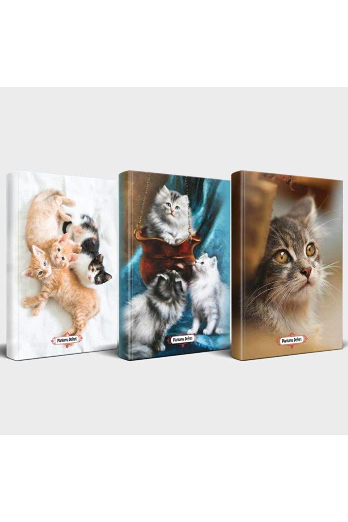 Kedili Defter Seti - 3 Defter V2