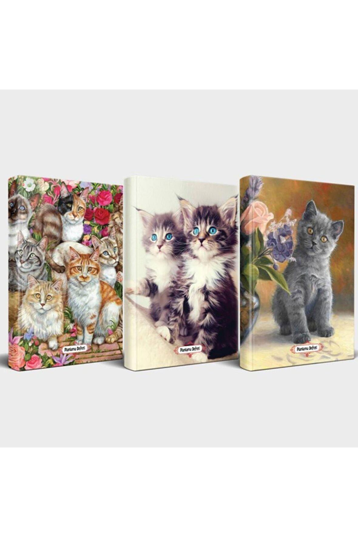 Kedili Defter Seti - 3 Defter V4