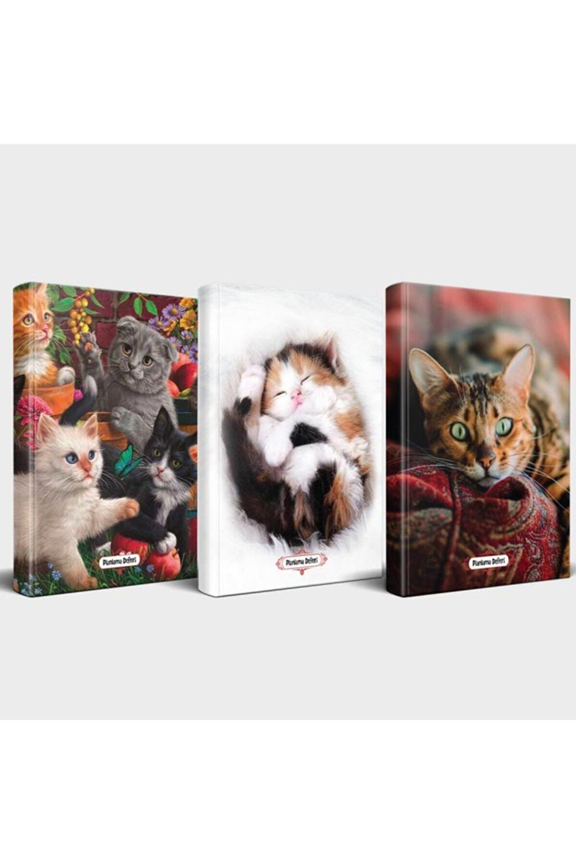 Kedili Defter Seti - 3 Defter V6