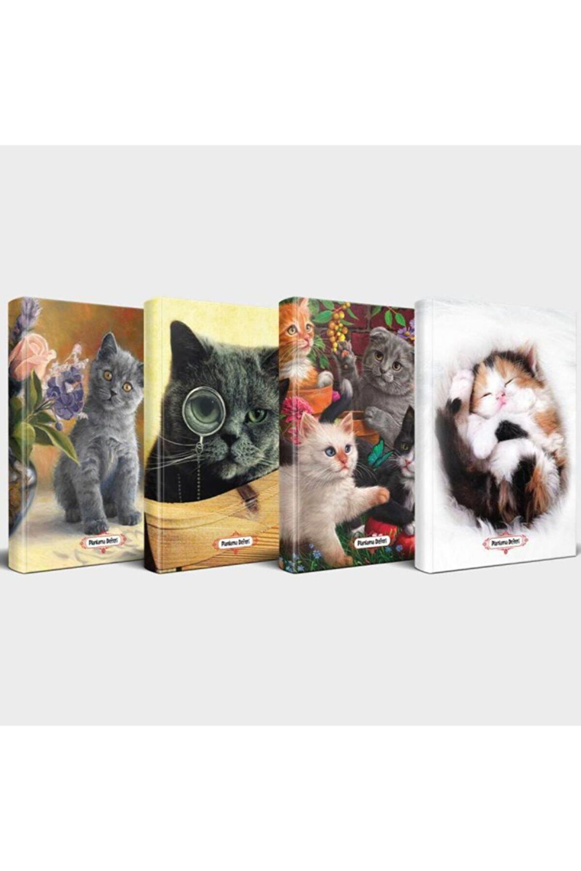 Kedili Defter Seti - 4 Defter V4