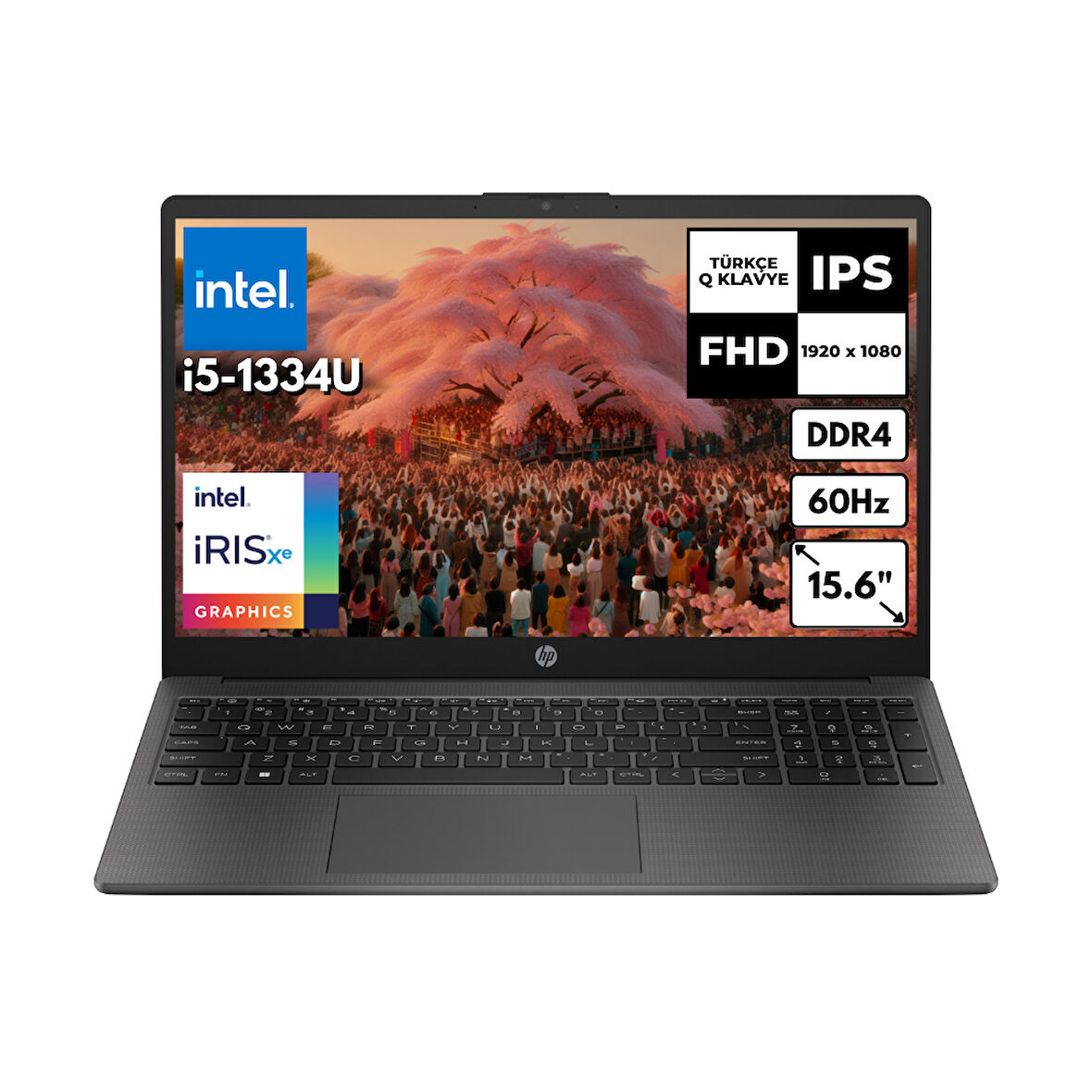 HP 250 G10 i5-1334U 8GB 256 GBSSD Iris Xe Graphics 15.6" FHD Windows 11 Home Notebook B2NC9ESHMF1
