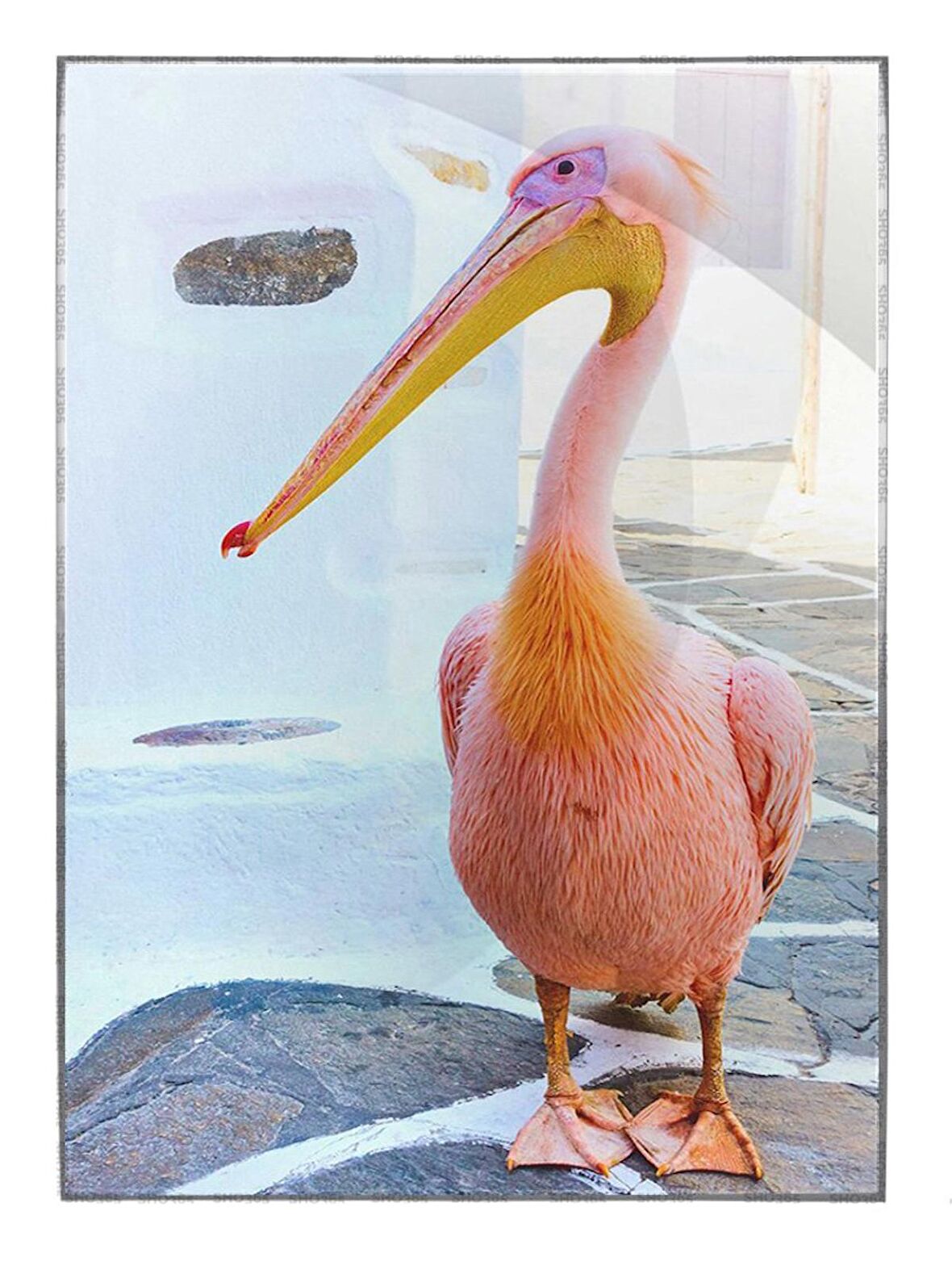 Shop365 Petros Pelikanı Yunanistan Mykonos Sokağı Tablo Çerçeveli P-000023