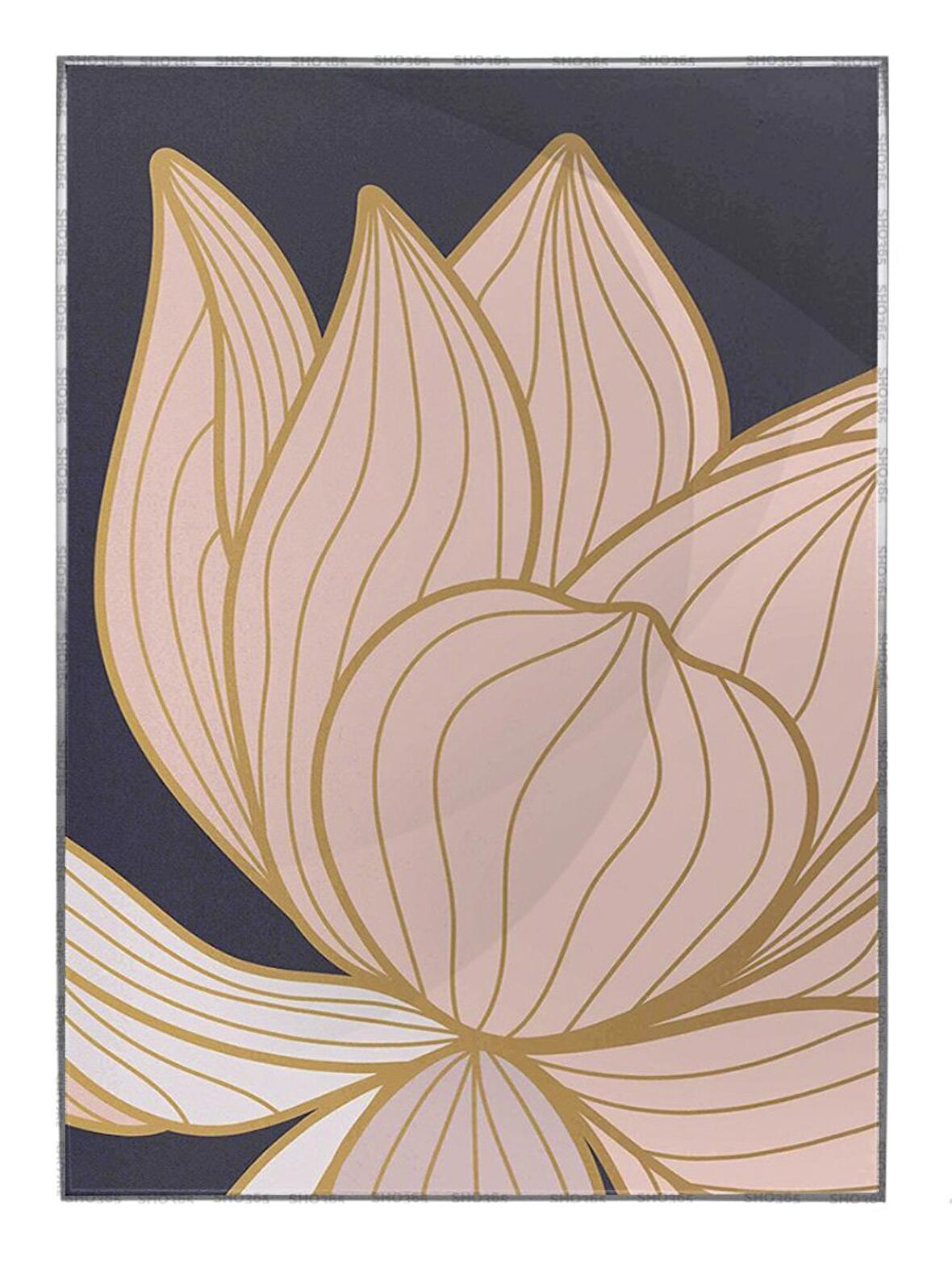 Shop365 Lotus Nilüfer Çiçek İllüstrasyon Tablo Çerçeveli P-000877