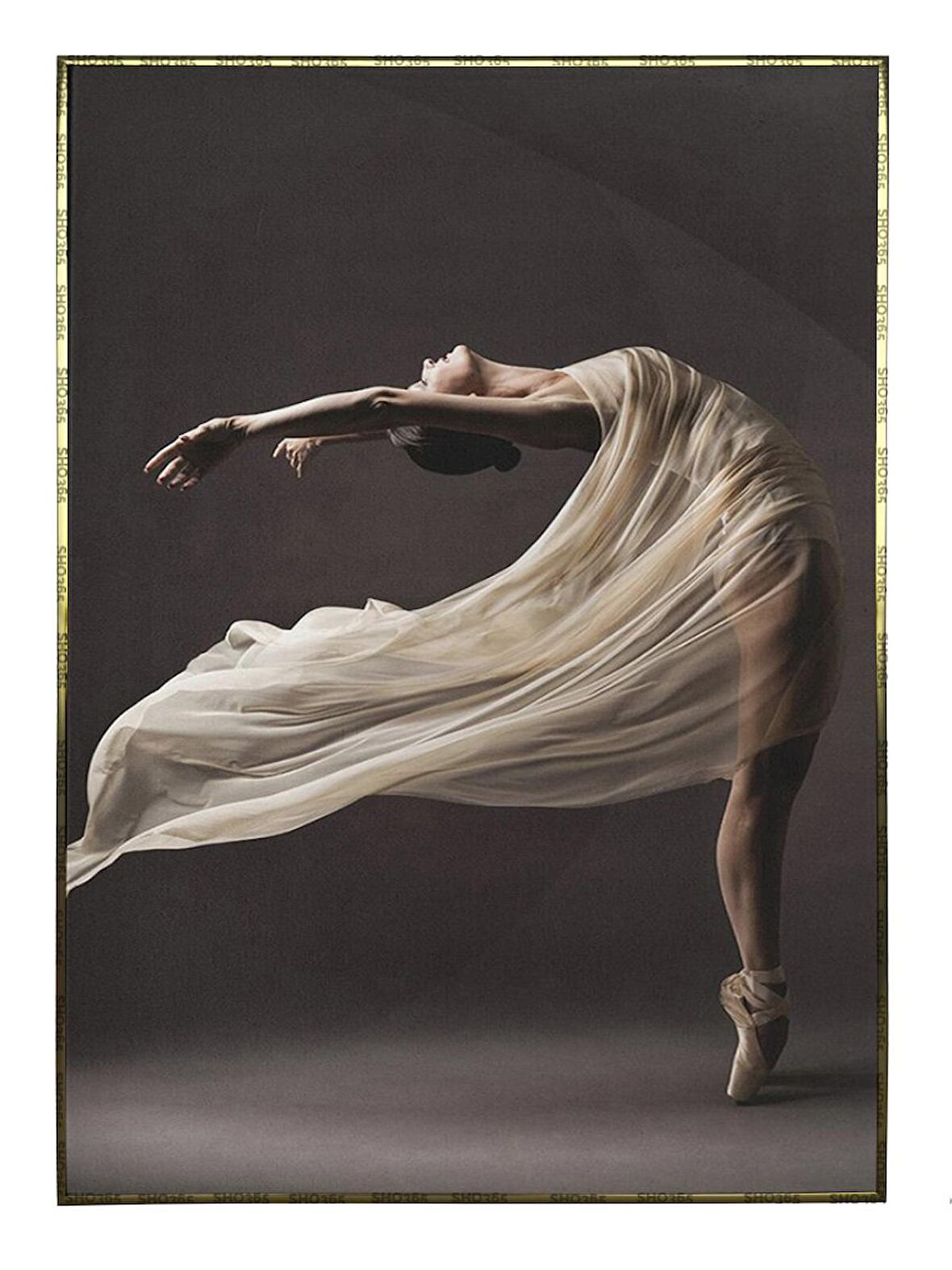 Shop365 Balerin Dansçı İpek Elbiseli Estetik Sanatsal Tablo Çerçeveli P-000897