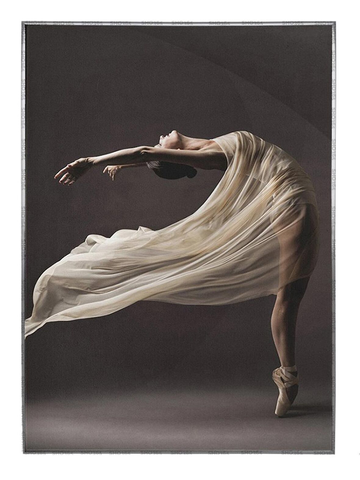 Shop365 Balerin Dansçı İpek Elbiseli Estetik Sanatsal Tablo Çerçeveli P-000897