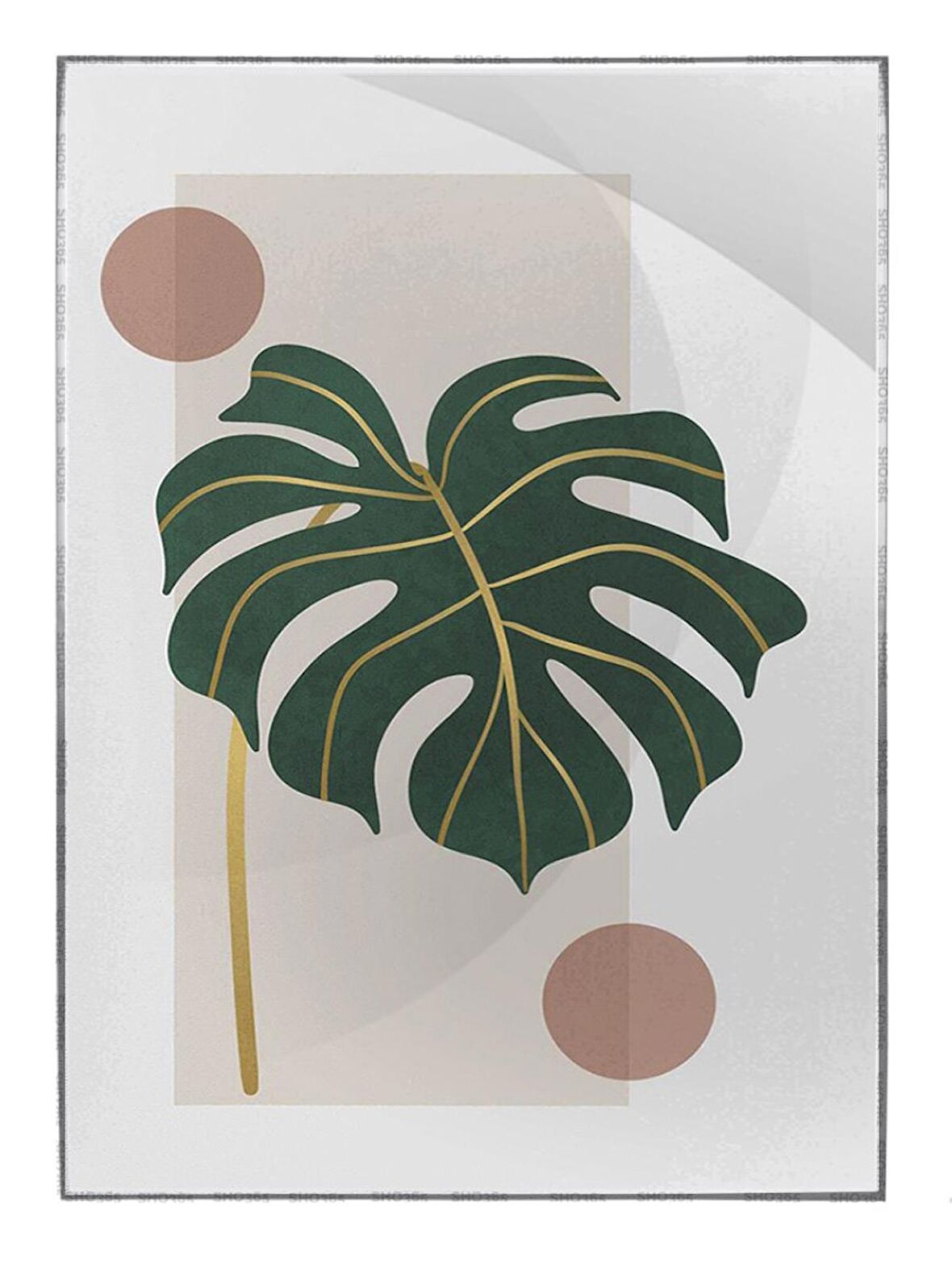 Shop365 Doğa Bitki Modern İllüstrasyon Tablo Çerçeveli P-002513