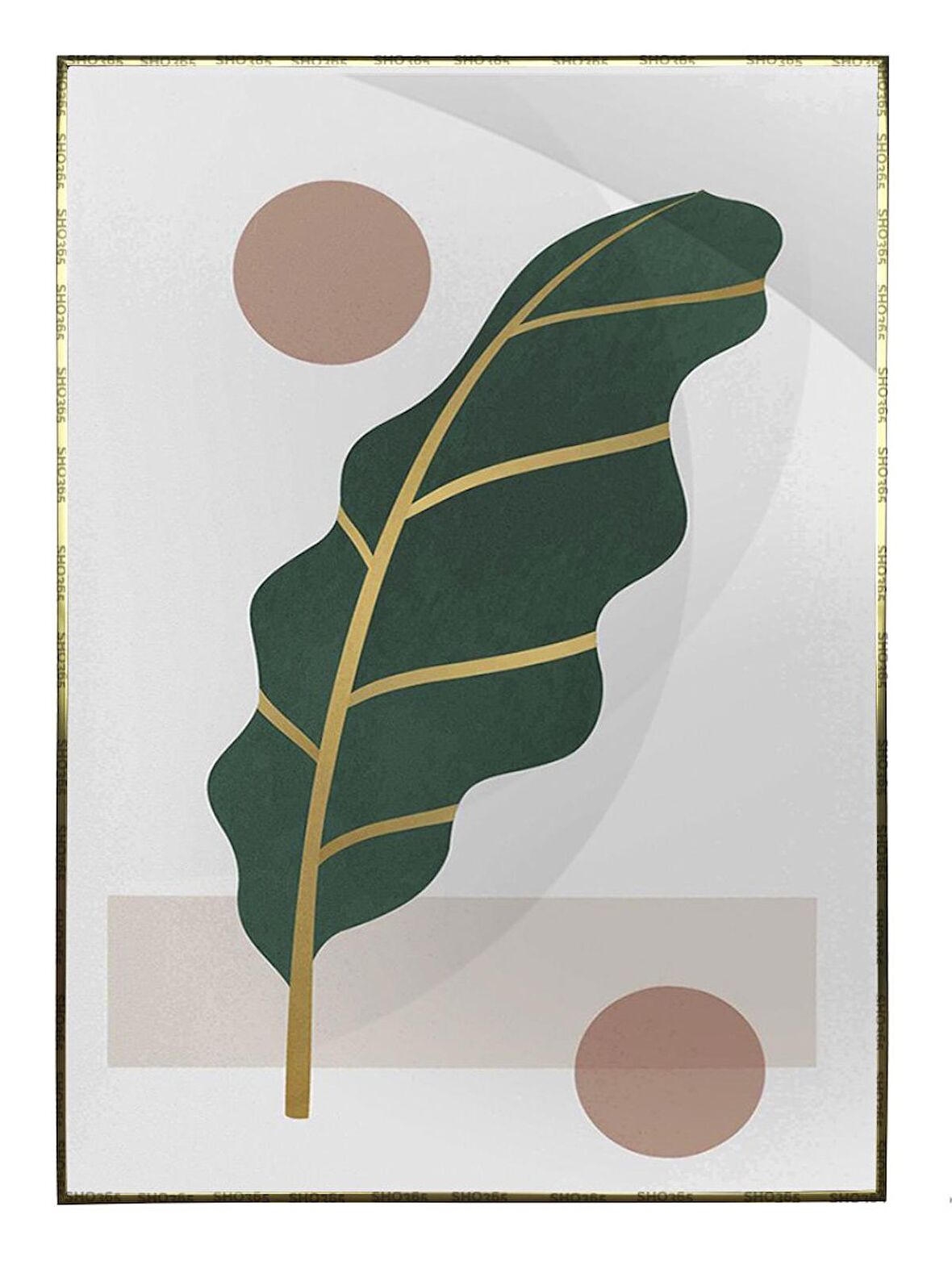 Shop365 Doğa Bitki Modern İllüstrasyon Tablo Çerçeveli P-002514