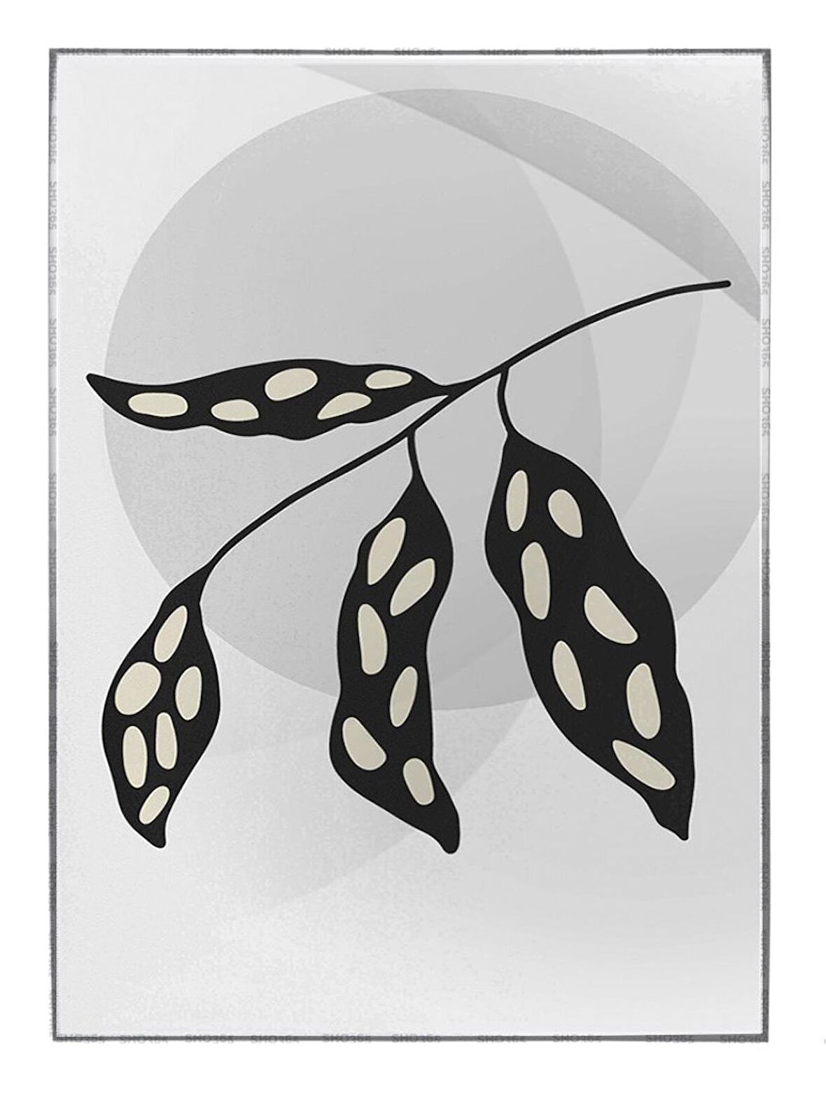 Shop365 Doğa Bitki Modern İllüstrasyon Tablo Çerçeveli P-002567