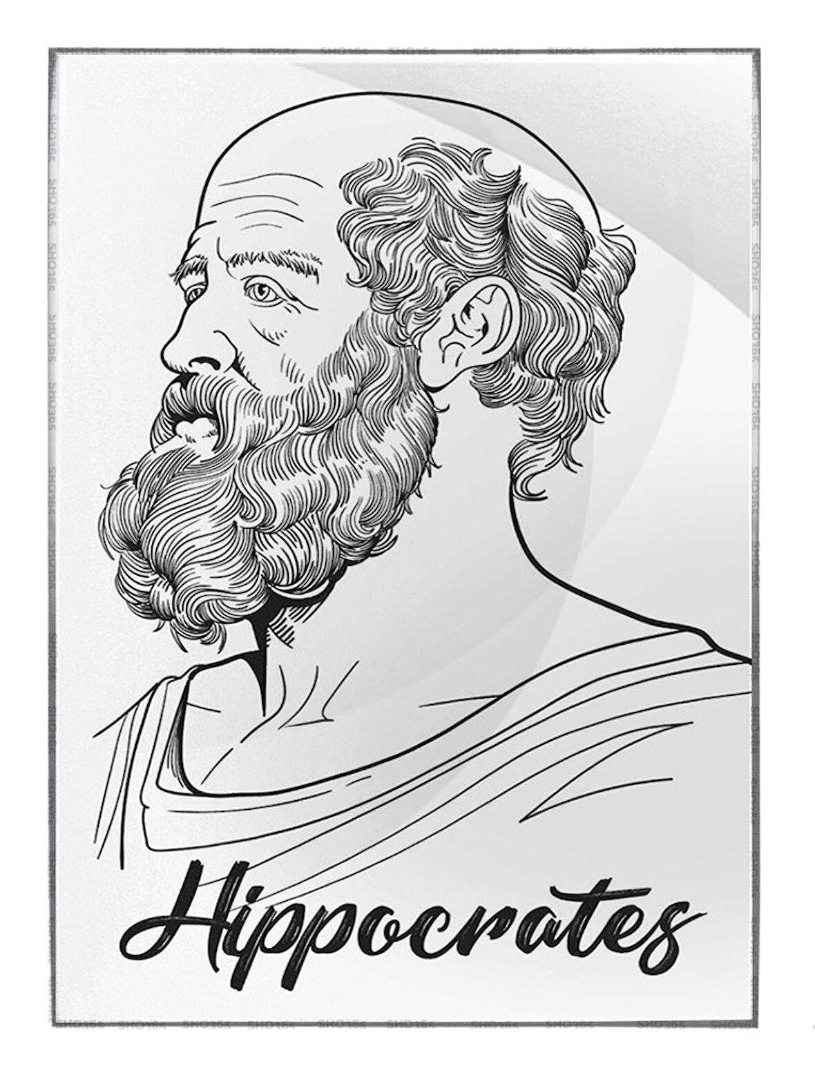 Shop365 Hipokrat Hippocrates Portre Çizim Tablo Çerçeveli P-003449