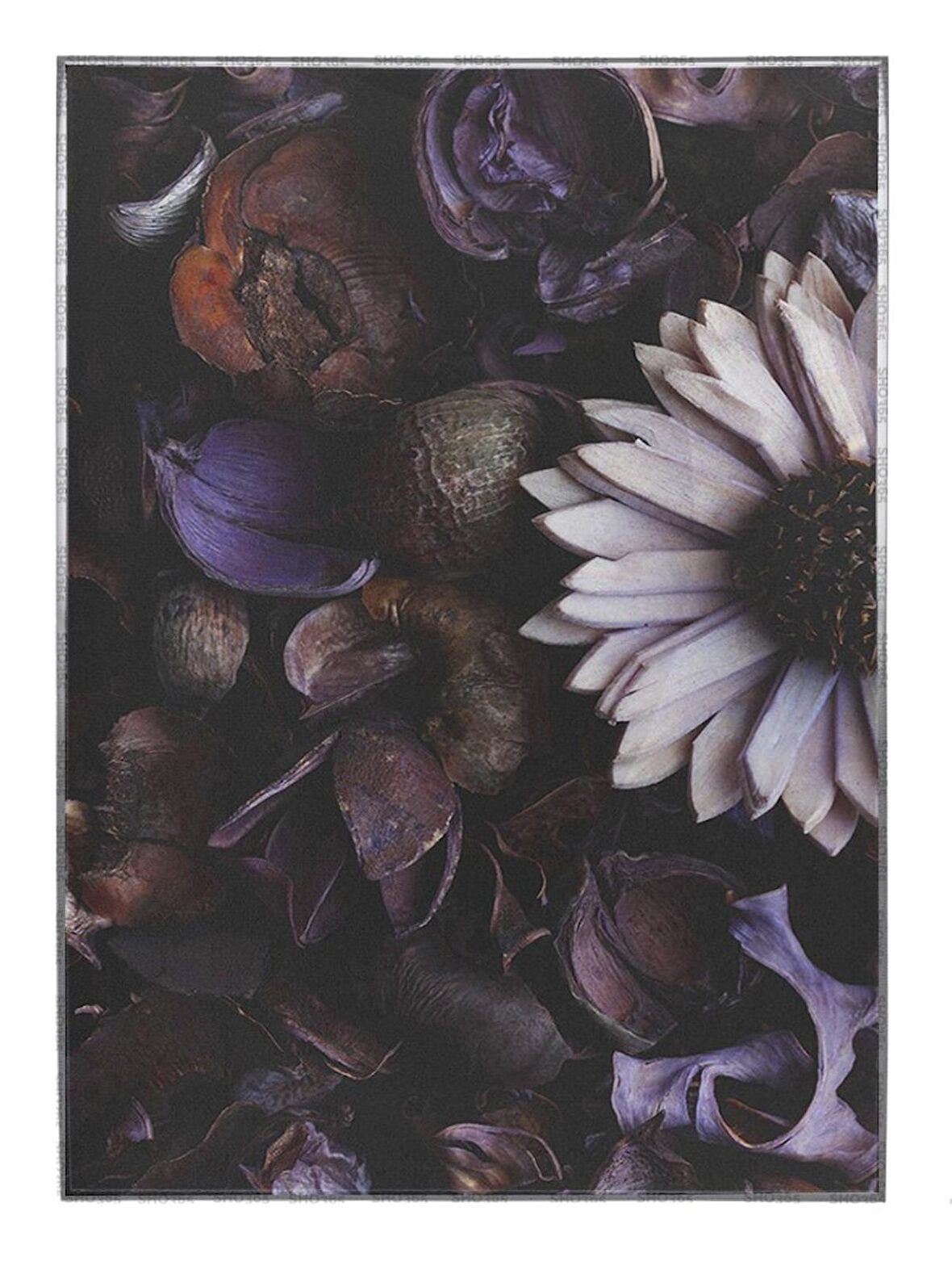 Shop365 Mor Çiçek ve Kurutulmuş Çiçekler Dekoratif Tablo Çerçeveli P-004590