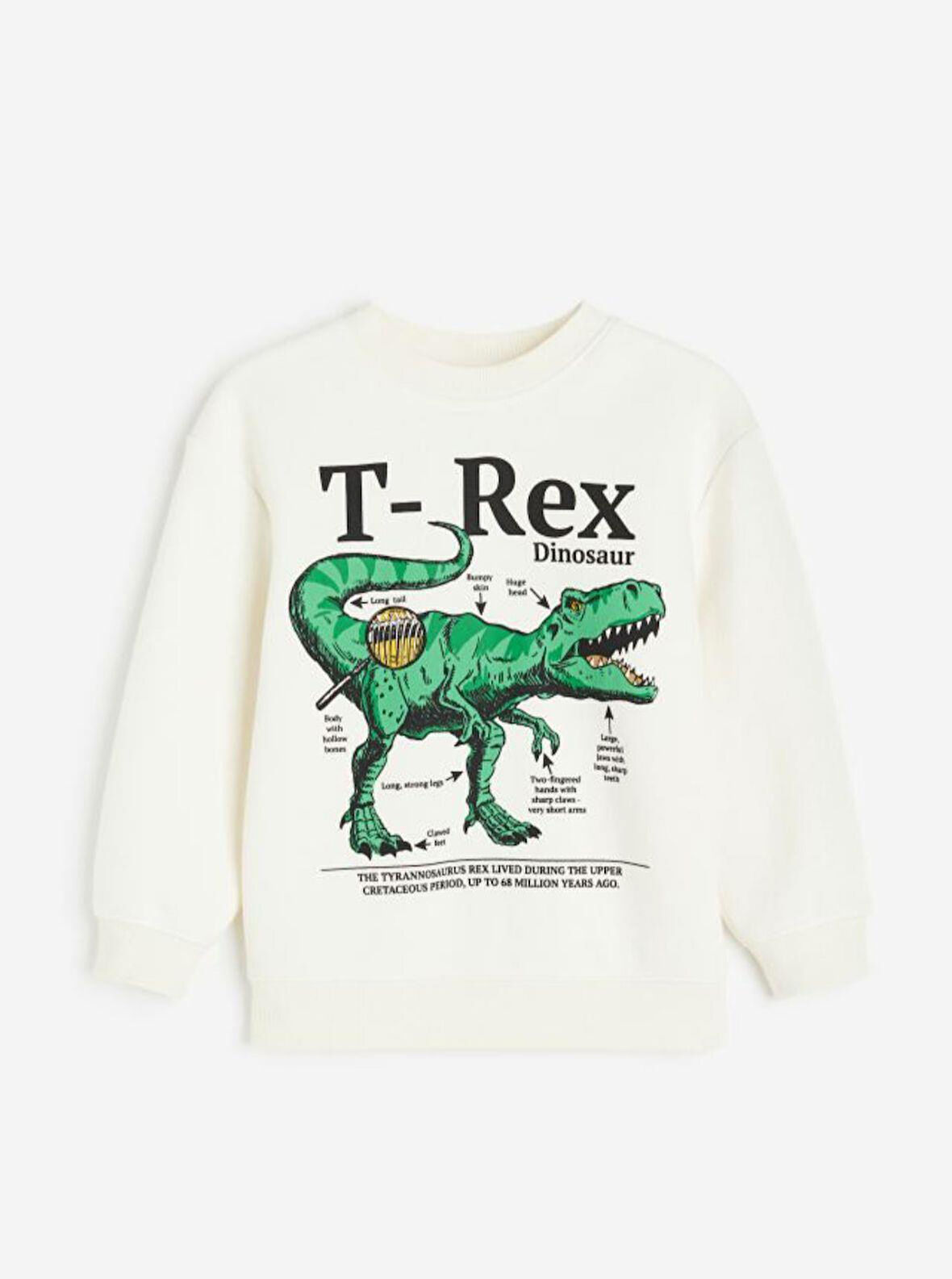 Trex Çocuk Sweatshirt