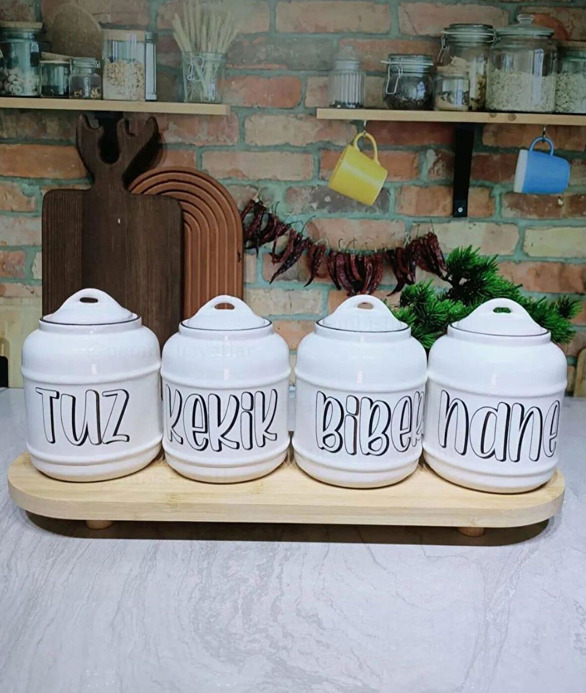 Seramik 4lü Baharatlık Tuz Kekik Nane Biber Baskılı Retro Baharat Takımı