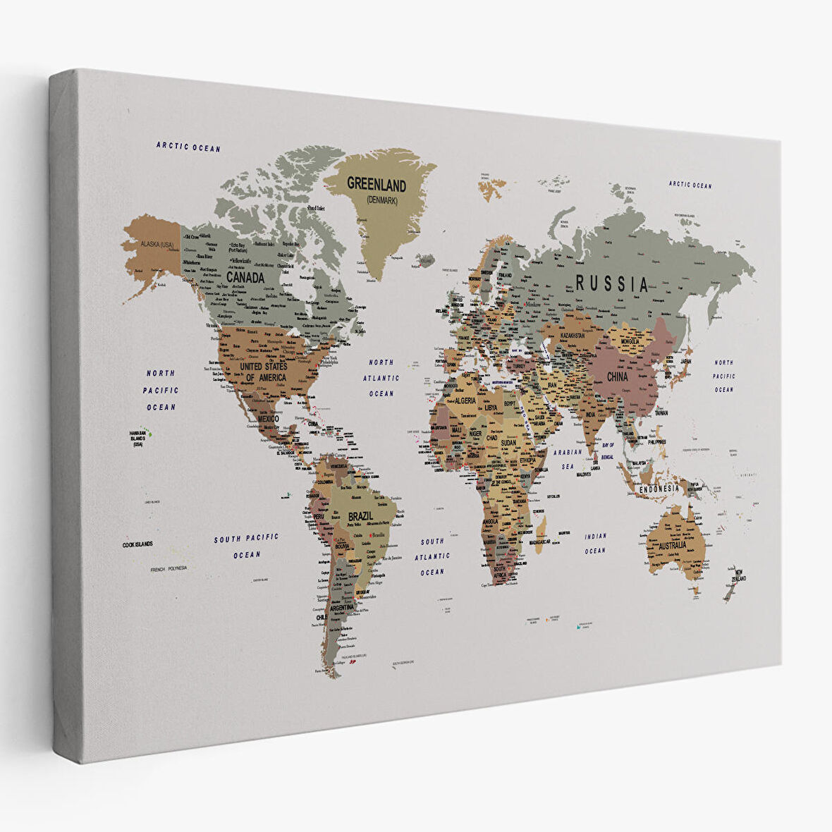 Harita Sepeti Detaylı Dünya Haritası Dekoratif Renkli Zeminli Kanvas Tablo 1702
