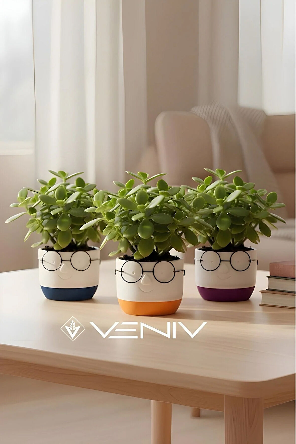 3 Adet Dekoratif Profesör Gözlüklü Saksı 8x8 cm