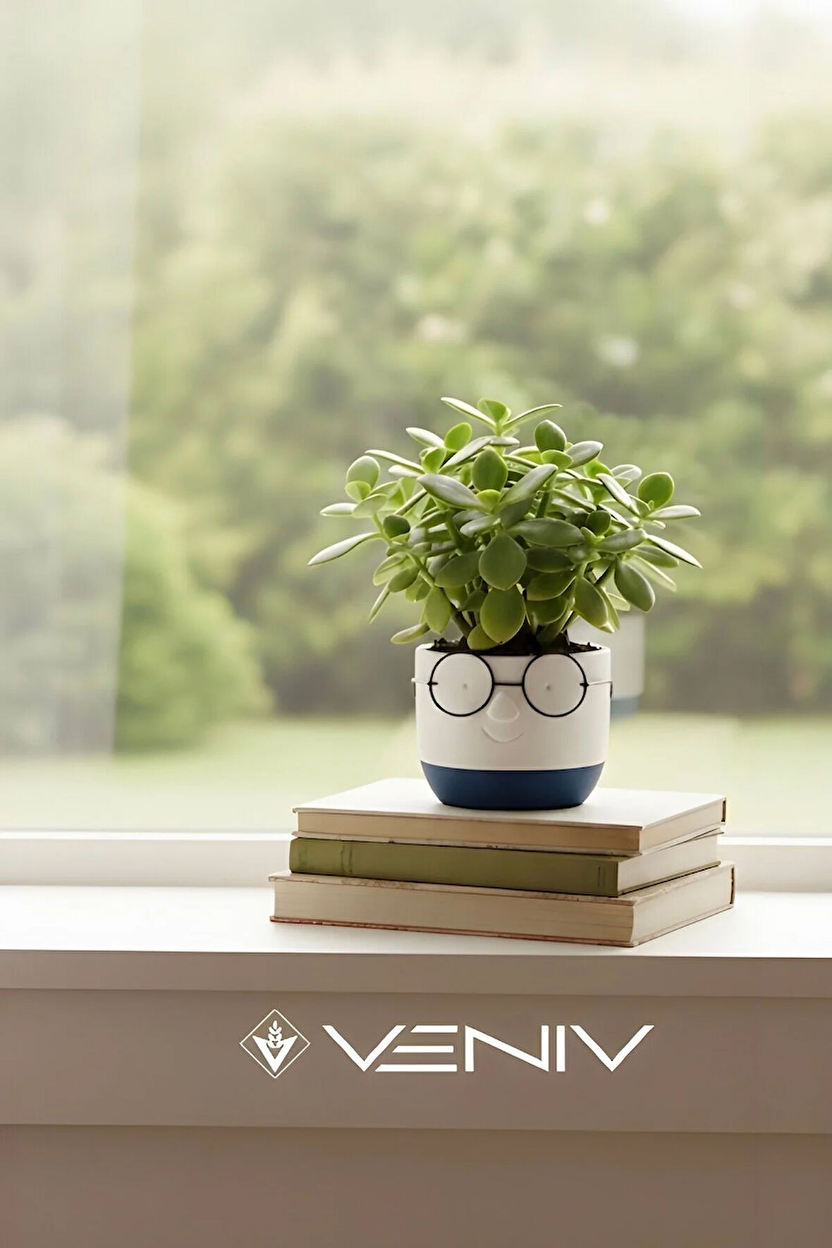 Dekoratif Profesör Gözlüklü Saksı 8x8 cm