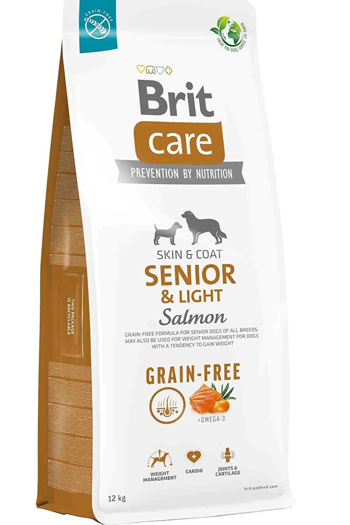 Brit care skin coat senior light salmon 12kg tahılsız somonlu köpek maması grain free ileri yaş