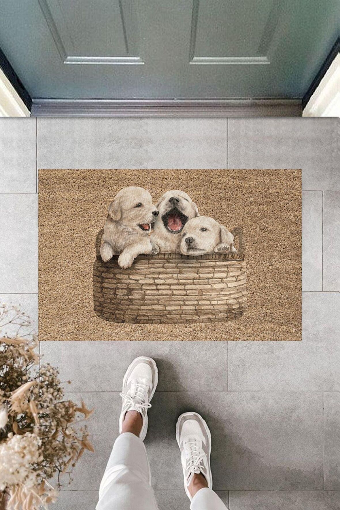 Dormot Home Modern Baskı - Bir Sepet Yavru - Karşılama Kapı Önü Paspası
