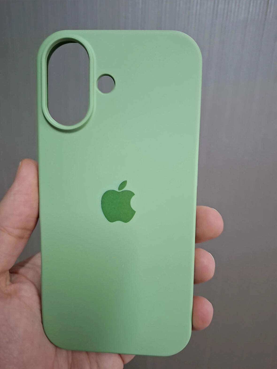 iPhone 17 Uyumlu Silikon İçi Kadife Logolu Lansman Kılıf
